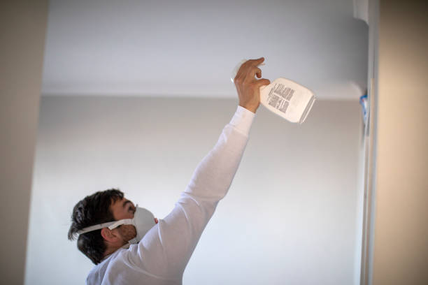 Best Mold Damage Repair  in La Feria, TX